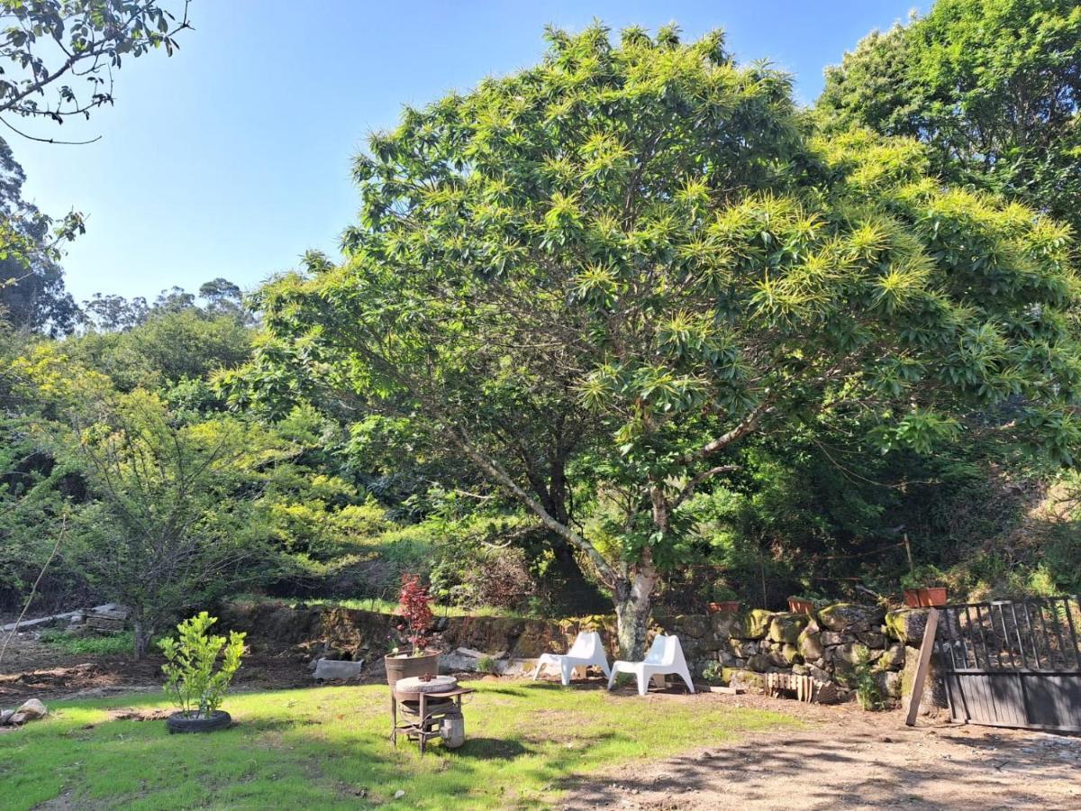 Casa Rústica Monte Aloia: Rehabilitated Rural Retreat with Natural Stream Apartment Tui Exterior photo