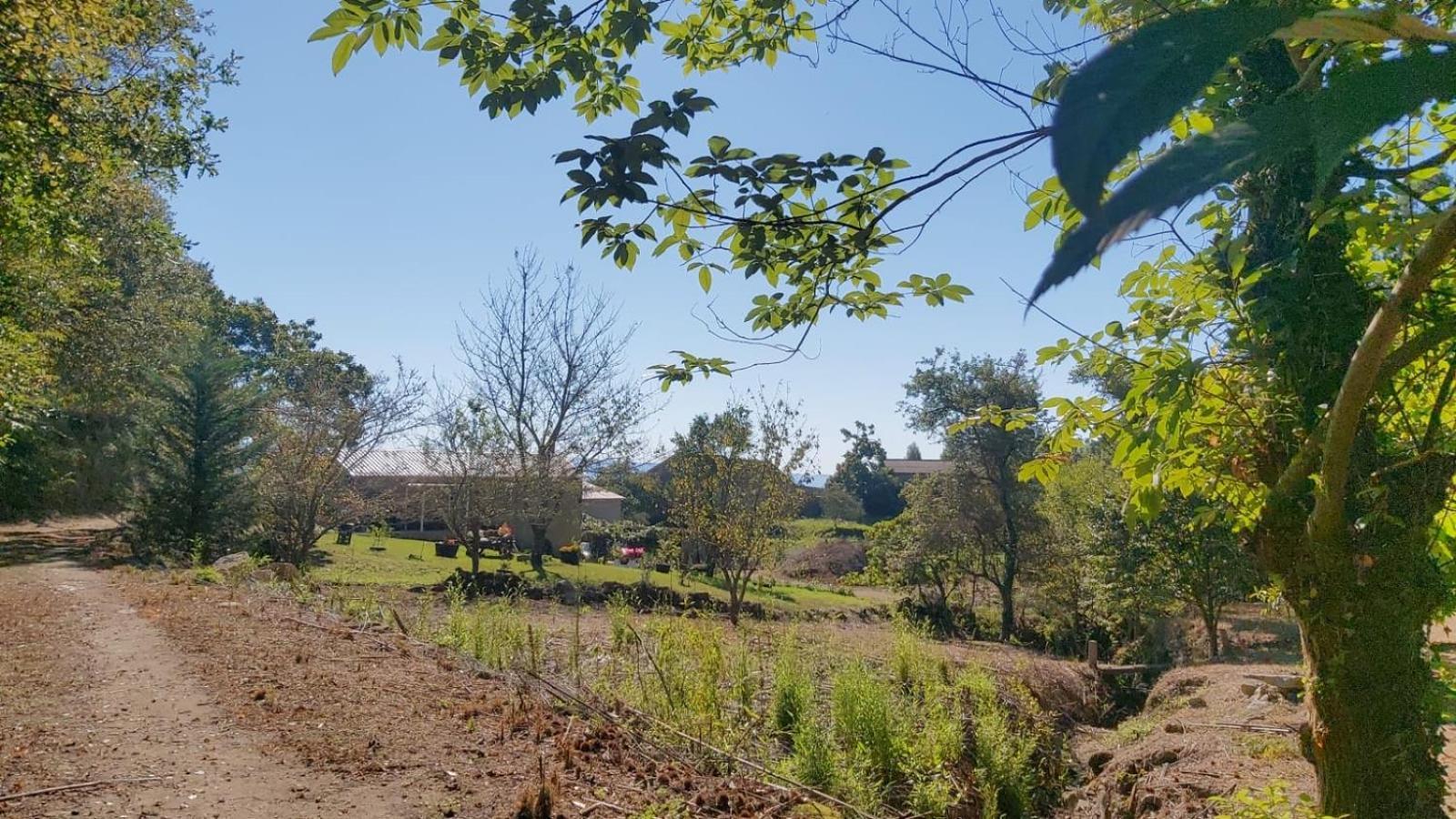 Casa Rústica Monte Aloia: Rehabilitated Rural Retreat with Natural Stream Apartment Tui Exterior photo