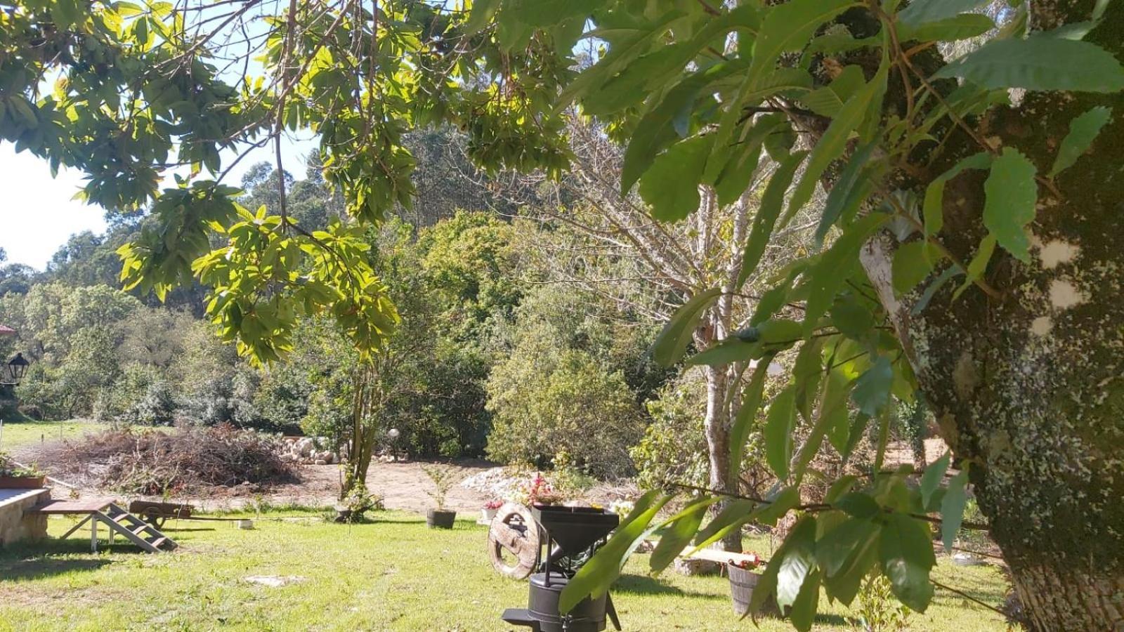 Casa Rústica Monte Aloia: Rehabilitated Rural Retreat with Natural Stream Apartment Tui Exterior photo